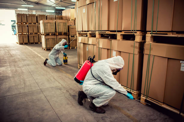 Best Flea Control Services  in Kekaha, HI