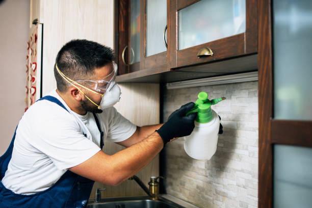 Best Affordable Pest Control Services  in Kekaha, HI