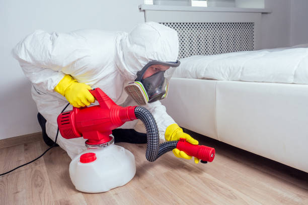 Best Pest Prevention Services  in Kekaha, HI