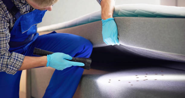 Best Ant Control Services  in Kekaha, HI